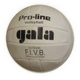Мяч волейбольный GALA (пресс.кожа, шитый). DG